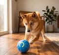 PawComfort BrainBall™ — Treat-Dispensing IQ Puzzle Ball for Dogs with Separation Anxiety & Boredom
