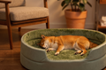 PawComfort OrthoNest™ — Low-Entry Orthopedic Bolster Bed for Senior Dogs with Joint Pain
